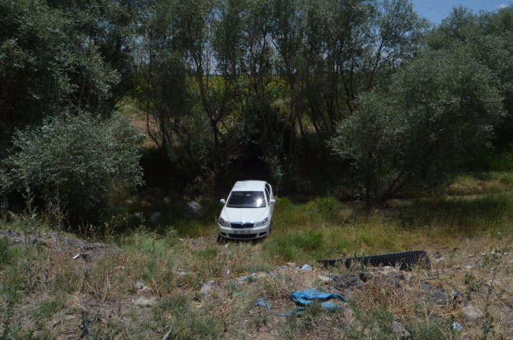 Sürücüsünü arı sokan otomobil şarampole düştü: 4 yaralı