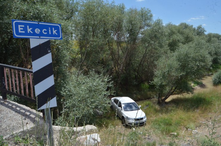 Sürücüsünü arı sokan otomobil şarampole düştü: 4 yaralı