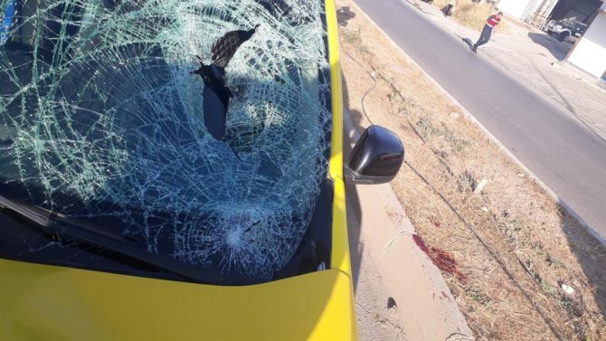 Taksinin çarptığı Arda, yaşam savaşını kaybetti