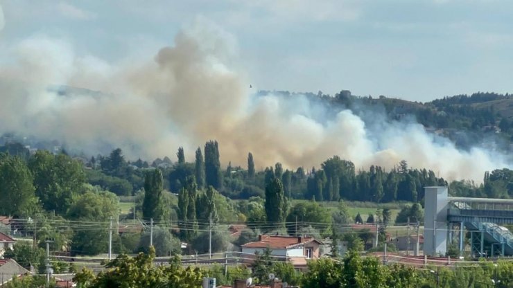 30 dakikada söndürülen yangında 40 dönüm arpa ekili tarla kül oldu