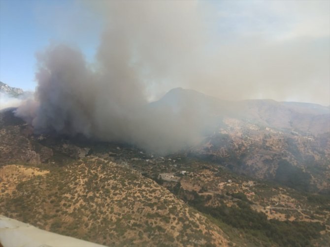 Datça'da çıkan orman yangınına havadan ve karadan müdahale ediliyor