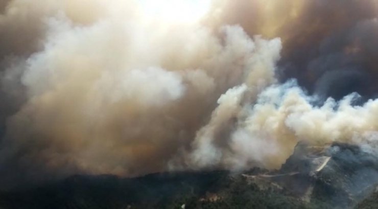 Datça'daki orman yangını devam ediyor