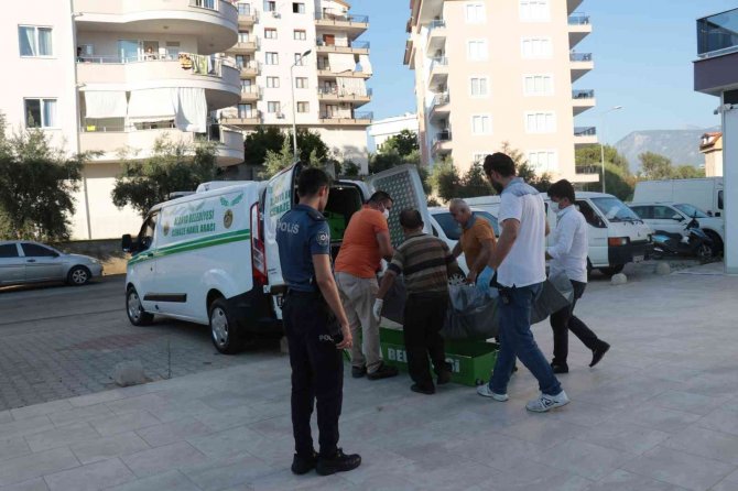 Genç kız babasının evinde ölü bulundu