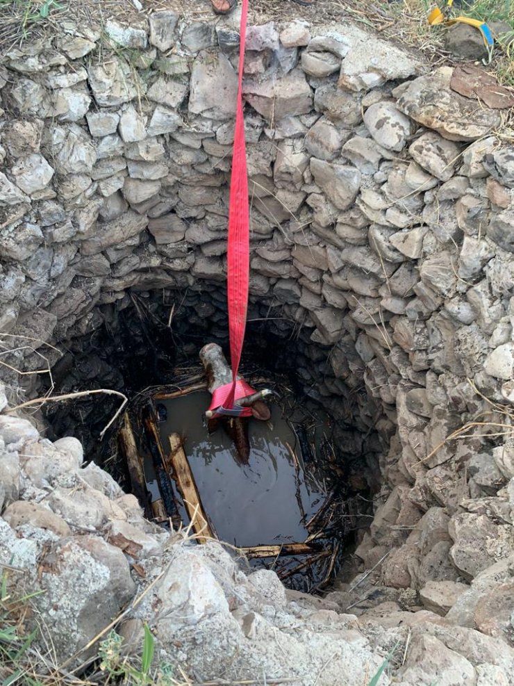 İnek su dolu kuyuya düştü