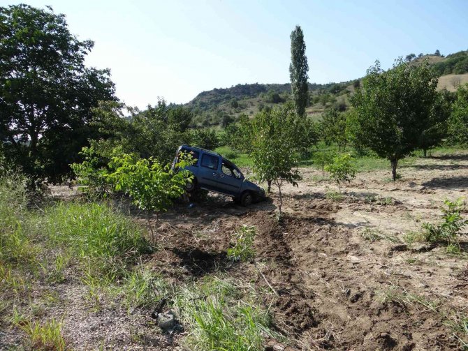Kontrolden çıkan hafif ticari araç kiraz bahçesine uçtu