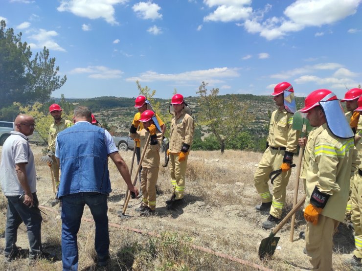 Manisa'da orman yangını; 2 hektardaki kızılçam yandı