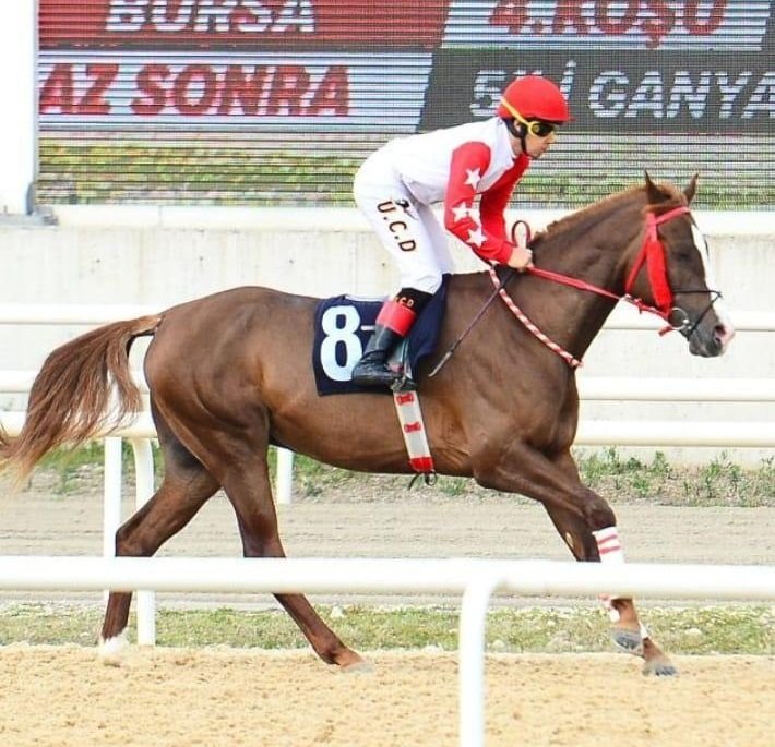 Apranti Uğurcan, at yüzdürürken boğuldu