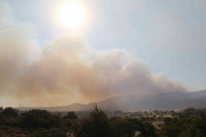 Yangının sebebi belli oldu