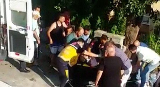 Ağaçtan düşen şahıs hayatını kaybetti