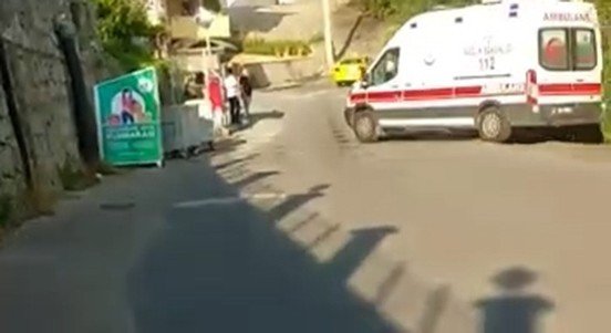 Ağaçtan düşen şahıs hayatını kaybetti