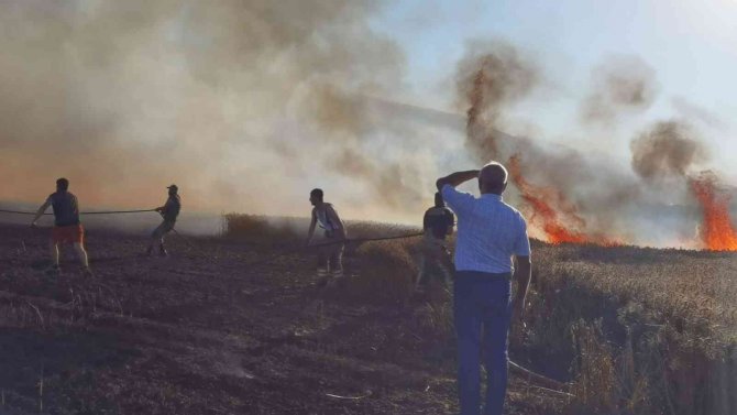 Buğday tarlası yangında küle döndü