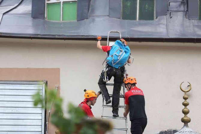 Cami kubbesindeki yuvadan düşen yavru leyleğe müthiş kurtarma