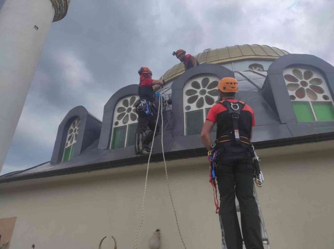 Cami kubbesindeki yuvadan düşen yavru leyleğe müthiş kurtarma