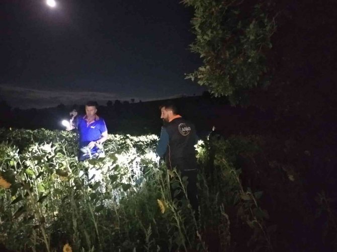 Hayatından endişe ediliyordu, komşunun bahçesinde uyurken bulundu
