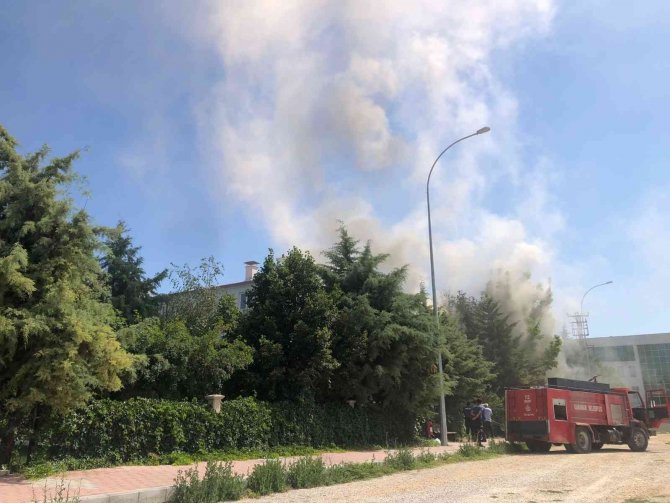 Karaman İl Sağlık Müdürlüğü bahçesinde korkutan yangın