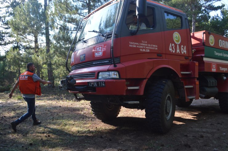 Kütahya'da orman yangını