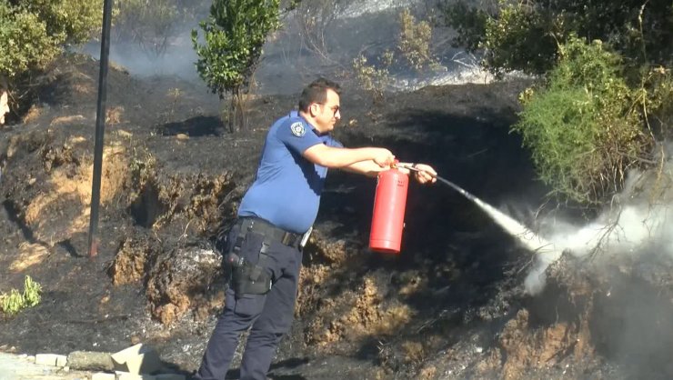 Makilik alanda yangın