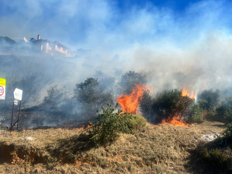 Makilik alanda yangın
