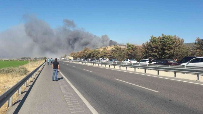 Otluk alanda yangın