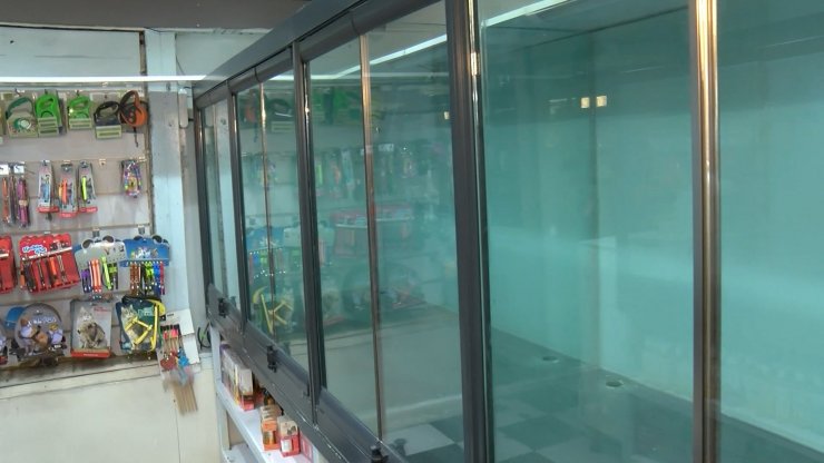 Petshop vitrinlerinden kedi ve köpekler kaldırıldı  