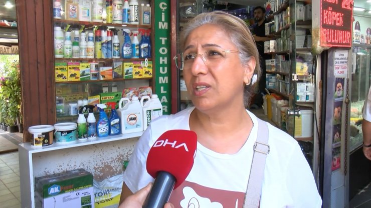 Petshop vitrinlerinden kedi ve köpekler kaldırıldı  