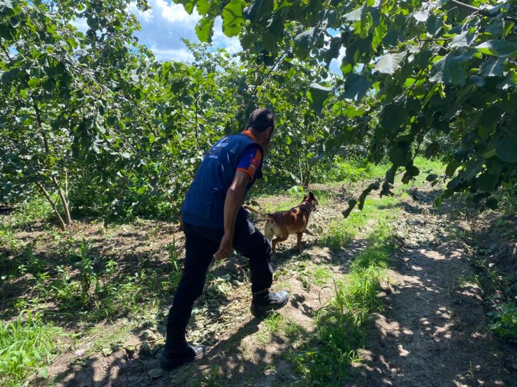 Samsun'da otizmli Emine, 7 gündür kayıp