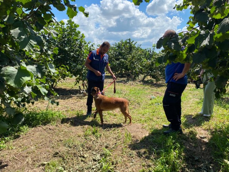 Samsun'da otizmli Emine, 7 gündür kayıp