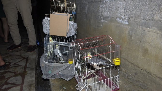 Yanan evinde ailesinden sonra kuşlarını kurtardı