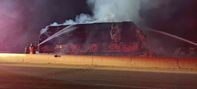 Zeytinlik yangını kontrol altına alındı