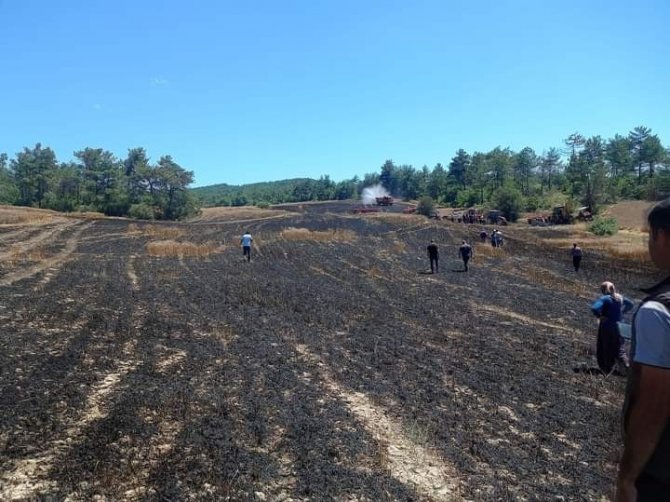 Çıkan yangında buğday ekili arazi küle döndü