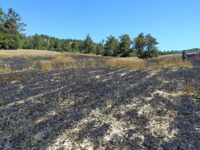 Çıkan yangında buğday ekili arazi küle döndü