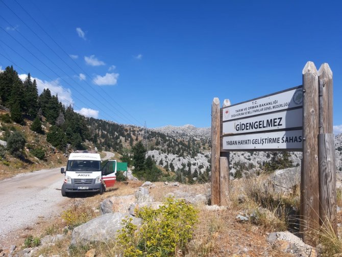 Dört gündür kayıp olan yaşlı kadın 160 kişilik ekiple aranıyor