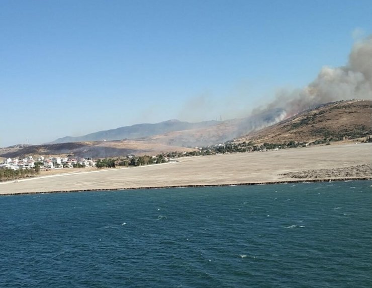 Makilik alanda yangın