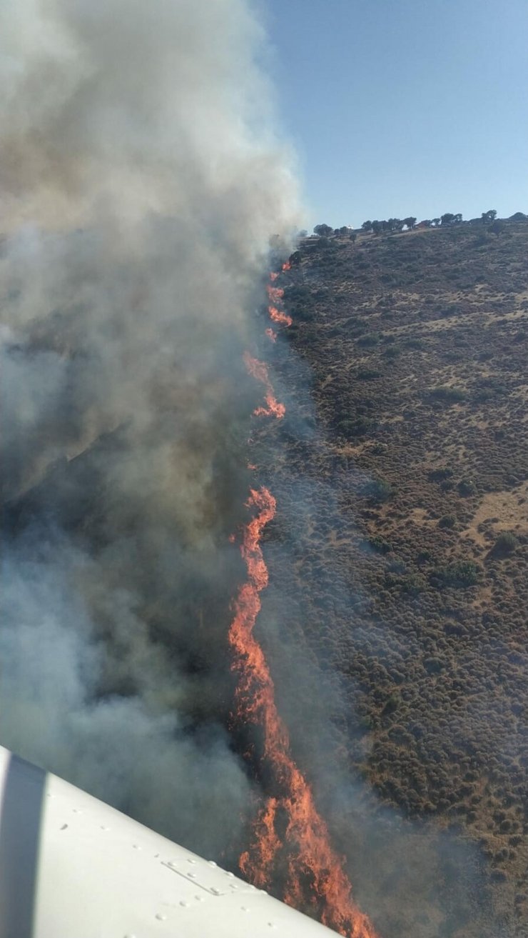 Makilik alanda yangın