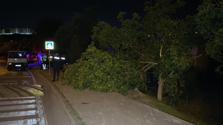 Ödünç aldıkları araçla çocuk parkına uçtular: 1 ölü, 1 yaralı