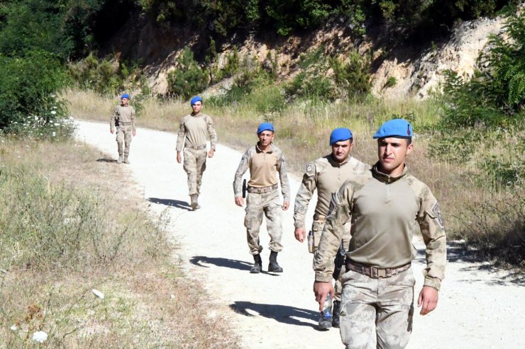 400 kişilik ekip, ormanda kaybolan Şehmus'u arıyor