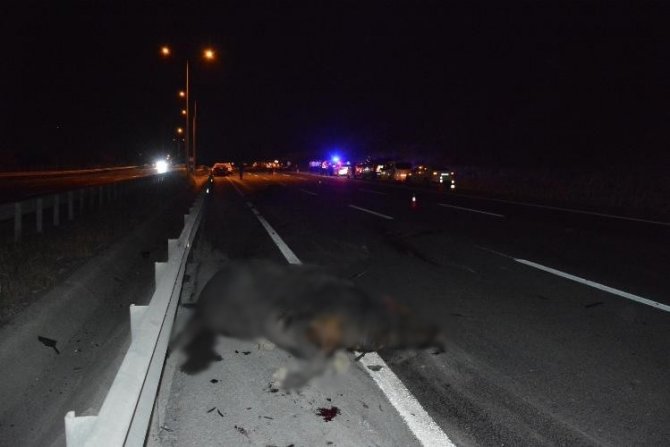 Taksi iki mandaya çarptı: 1 ölü, 2 yaralı