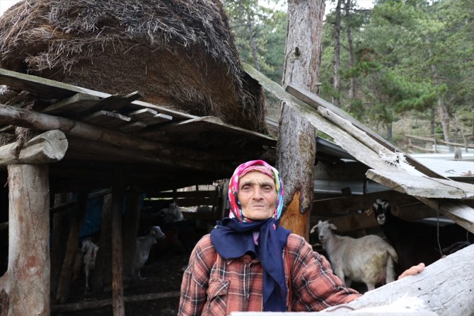 Engelli oğluyla 40 yıldır çobanlık yapıyor