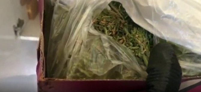 Ayakkabı kutularındaki esrarı dedektör köpek buldu