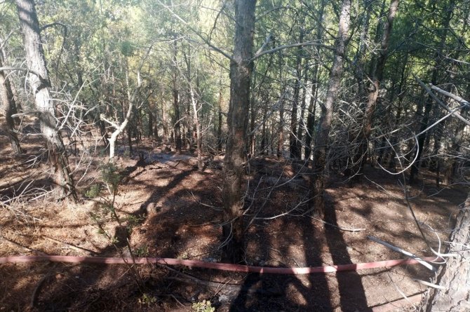 Mersin'de çıkan orman yangını söndürüldü