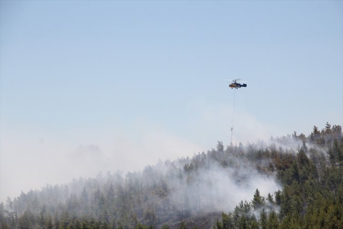 Hatay'da çıkan örtü yangını kontrol altına alındı