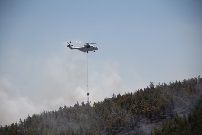 Hatay'da çıkan örtü yangını kontrol altına alındı