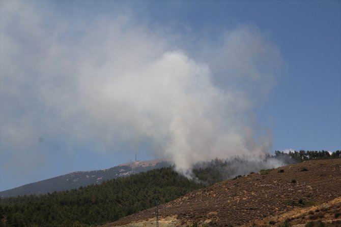 Hatay'da çıkan örtü yangını kontrol altına alındı