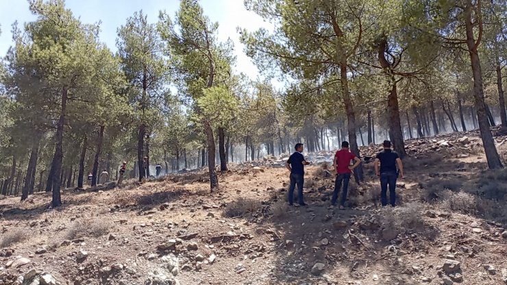 Hatay'da örtü yangınında 30 dönüm alan zarar gördü
