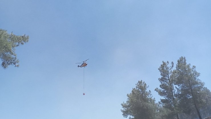 Hatay'da örtü yangınında 30 dönüm alan zarar gördü