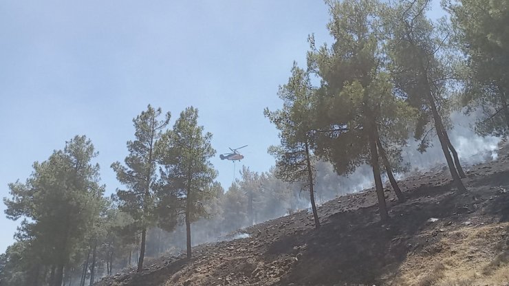 Hatay'da örtü yangınında 30 dönüm alan zarar gördü