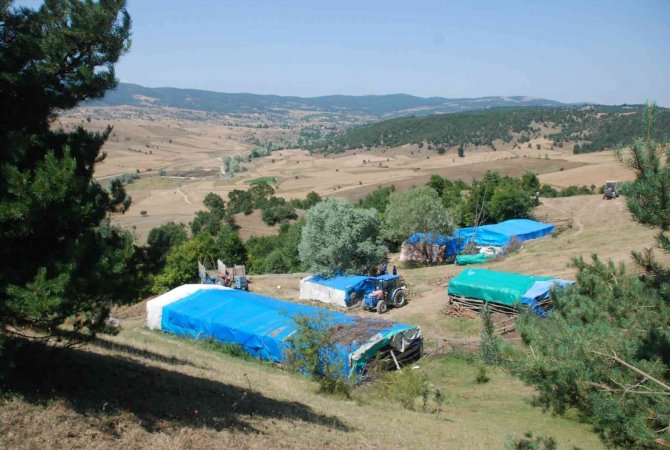 Kaybolan minik Evrim’den 4 yıldır haber alınamadı