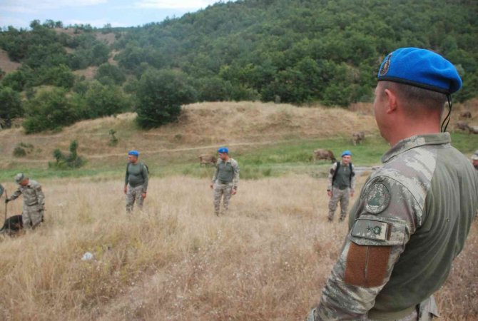 Kaybolan minik Evrim’den 4 yıldır haber alınamadı