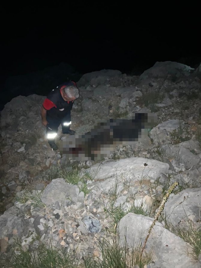 Kayıp çoban ölü bulundu