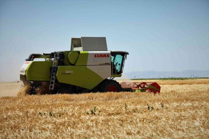 Konya Ovasında hububat ürünlerinde verim ve kalite arttı